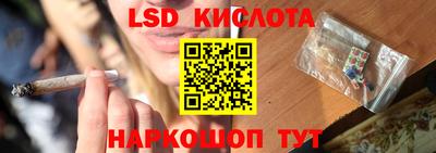 ПСИЛОЦИБИНОВЫЕ ГРИБЫ Изобильный