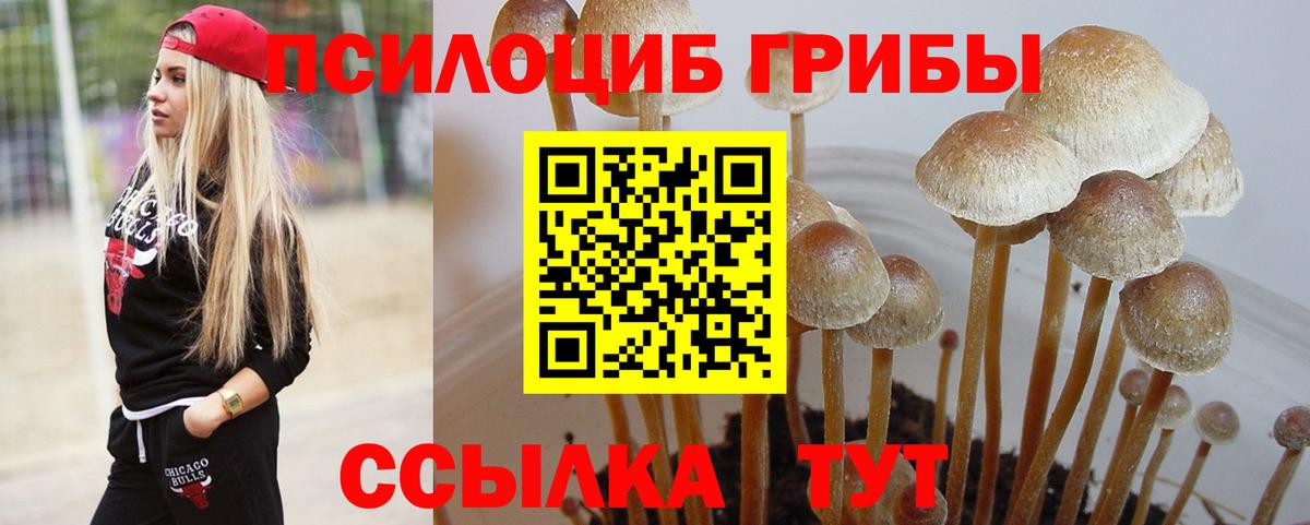 Галлюциногенные грибы MAGIC MUSHROOMS  Вход с VPN  Тейково 